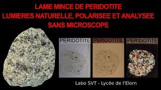 Péridotite observée en LPnA vs LPA sans microscope polarisant SVT Hervé Kempf [upl. by Sylas]