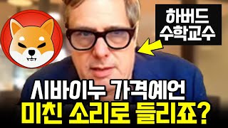 시바이누 코인 예상가격을 천재 수학자가 수식으로 밝혀냈다 충격주의 [upl. by Christal598]