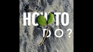 How To Add Text Behind An Object Using Snapseed  Tutorial [upl. by Enelak]