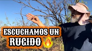 39DESPEJANDO el RANCHO🔥SE ESCUCHO UN RUGIDO MIENTRAS TRABAJABAMOS⁉️ [upl. by Thera]