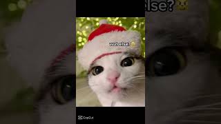 dont want alot for chrimuh capcut christmas mariahcarey christmastree foryoupage fyp meme hi [upl. by Chryste932]