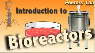 Introduction to bioreactors [upl. by Walli94]