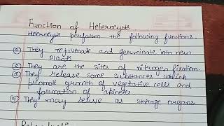 What is Heterocyst  Heterocysts StructureFunctionDevelopment in detail [upl. by Gary]