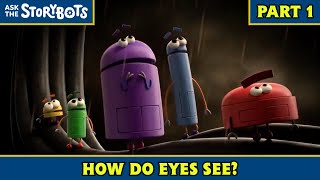 How Do Eyes See Part 110  Ask the StoryBots [upl. by Hanahsuar649]