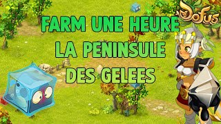 DOFUS Farm UNE HEURE la Péninsule des Gelées 22  Amakna [upl. by Naloc]