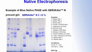 SERVA Webinar Native Electrophoresis English [upl. by Nirret]