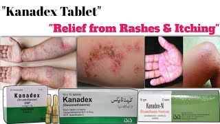 quotKanadexN Effective Antibiotic for Skin and Ear Infections  How to Use KanadexNquot [upl. by Fawn]