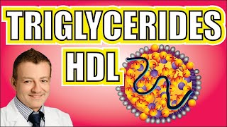 Triglyceride to HDL Ratio Matter Americas Cardiologist Explains [upl. by Jerome527]