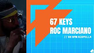 Roc Marciano ft Meyhem Lauren amp Rome Streetz  quot67 Keysquot ACAPELLA 88 BPM [upl. by Alfons]