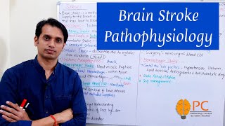 Brain Stroke Pathophysiology [upl. by Enisamoht]