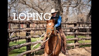 Catching Your Horse  Everyday Horsemanship Tips with guest Dale Brisby [upl. by Maritsa623]