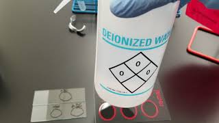 Microbiology Slide Coagulase Test [upl. by Bein838]