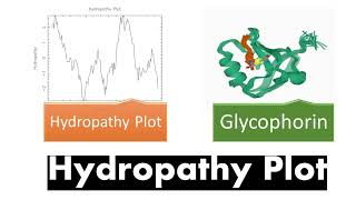 Hydropathy Plot  Introduction Transmembrane Proteins Hydropathy Index [upl. by Delbert]