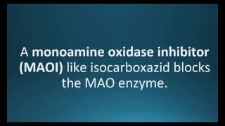 monoamine oxidase inhibitor Pharmcabulary for Memorizing Pharmacology Chapter 5 Neuro Flashcard [upl. by Ttocserp489]