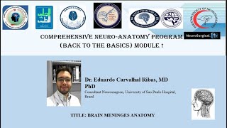 TITLE BRAIN MENINGES ANATOMY [upl. by Neesay]