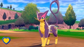 HOW TO GET Liepard in Pokémon Sword and Shield [upl. by Xenos]