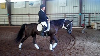 Gaited Dressage Demonstration [upl. by Burd]