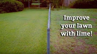 Applying Lime Treatments to your Lawn  Expert Lawn Care Tips [upl. by Otilrac]