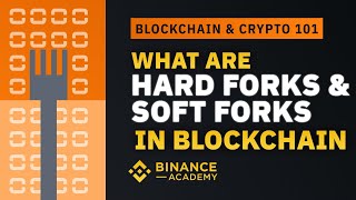 What Are Hard Forks amp Soft Forks in Blockchain ｜Explained For Beginners [upl. by Louie]