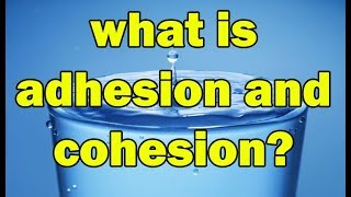 What is Adhesion and Cohesion forces in hindi  Explain Adhesion and Cohesion Forces [upl. by Houston]