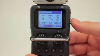 Zoom H5 Handy Recorder  Dubbing Tutorial [upl. by Uohk]