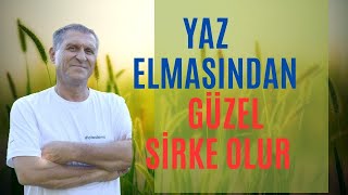 DOĞAL ELMA SİRKESİ NASIL YAPILIR ORGANİK SİRKE TARİFİ [upl. by Risa]