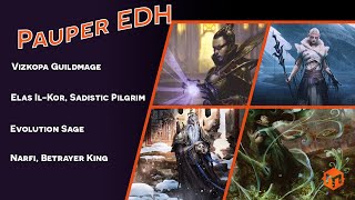 Pauper EDH  Vizkopa Guildmage VS Elas IlKor VS Narfi VS Evolution Sage [upl. by Flory]