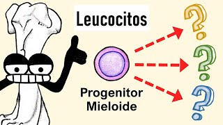 Células Mieloides  Granulocitos Monocitos Dendríticas [upl. by Naji]