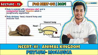 Lec 15 Phylum Mollusca Animal Kingdom Class 11 NEET 2024 [upl. by Barbette]