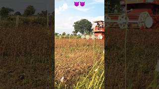 DASMESH dasmeshcombine Harvester 079 farmer combine shortsviral 😈😈😈😈😱😱 [upl. by Meenen]