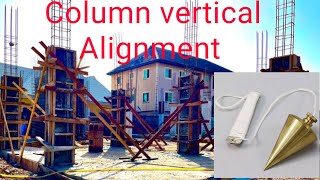 How to check vertical alignment for columns and walls [upl. by Angela]