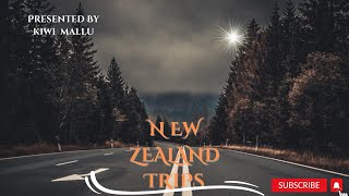 Akaroa  Canterbury  peninsula New Zealand travels subscribe like comment share [upl. by Ahsenauj]