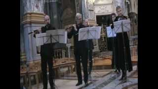 J S Bach Concerto Brandeburghese n4 BWV 1049  I Allegro [upl. by Emirak]