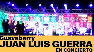 🔥 GUAVABERRY  JUAN LUIS GUERRA EN CONCIERTO 🔥 [upl. by Alyag]