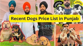 Recent Dogs Price List in Punjab  India 2022  Find Your BudgetFriendly Dog this Season Part1 [upl. by Milinda]