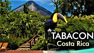 Tabacon Thermal Resort amp Spa Costa Rica [upl. by Lionel]