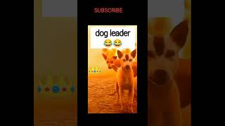 Dog attack 😂😂 funny trending funny ytshorts funnymemes [upl. by Sarita]