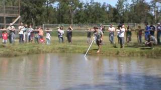 Largest Alligator in captivity in Texas [upl. by Gee148]