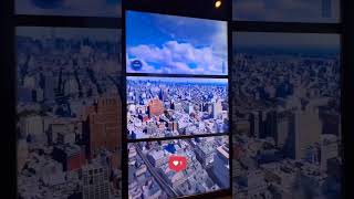 Esse elevador em Nova York mostra a evolução da cidade arranhacéu newyork [upl. by Ecargyram]