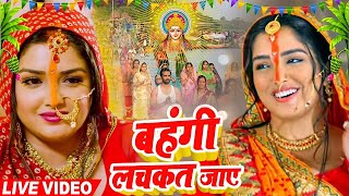 छठ पूजा गीत Special I Non Stop Chhath Pooja Geet I Chhath Puja 2024 I Top Chhath Pooja Songs [upl. by Aicinat899]