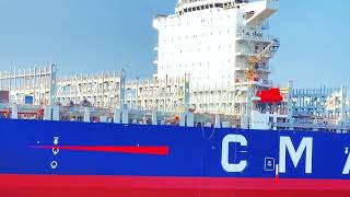 “APL DANUBE”所属的船公司是达飞轮船（CMA CGM） [upl. by Jessi]