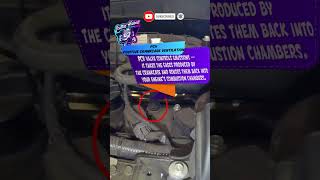 PCV Valve Location on a 2008  2015 Nissan Rogue 25 Liter Engine [upl. by Ibrek175]