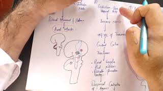 guyton chapter 57 part 2 Neuronal circuit of cerebellum afferent and efferent tracts of cerebellum [upl. by Allehcim8]