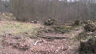 Identifying a Sawpit in Woodland [upl. by Kearney]