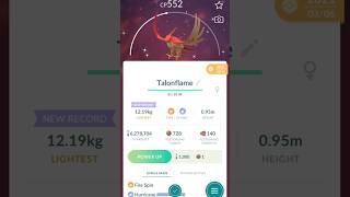 EVOLUSI SHINY TALONFLAME  POKEMON GO [upl. by Rasaec]