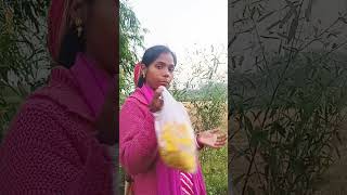 Sanay phool todne aaye Hai minivlog youtubeshorts shortvideo [upl. by Kapeed]