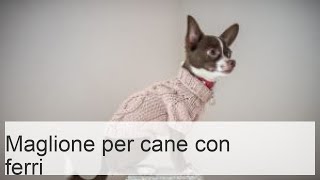 Maglione per cani ai ferri caratteristiche e istruzioni per principianti [upl. by Nnaeirrac]