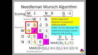 Needleman Wunsch algorithm [upl. by Ennayram525]