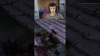 La larme imitatrice cest ciao  shorts eldenring twitch livestream short [upl. by Porche985]