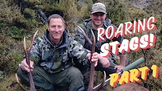 ROARING STAG HUNT IN NZ  CHAMOIS BUCKS AND ANGRY STAGS TAKE ON 2 FIREFIGHTERS FROM AMERICA  PART 1 [upl. by Aehtna]